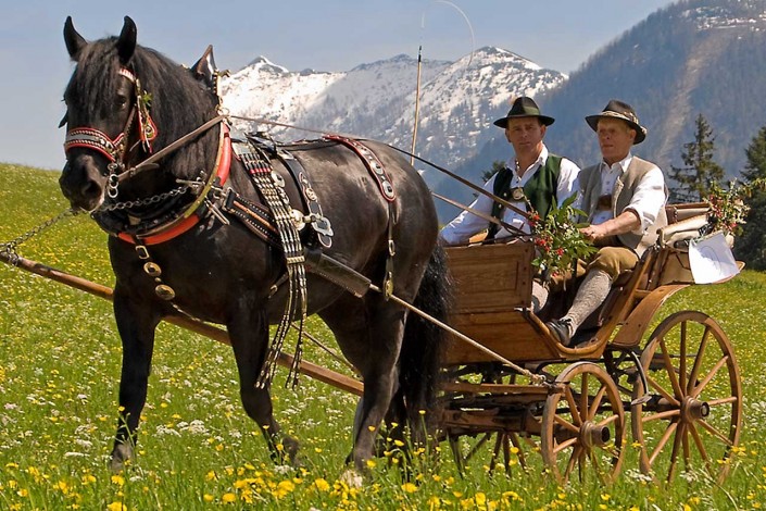 Hotel Traunstein in Abtenau - Pferdekutschenfahrt