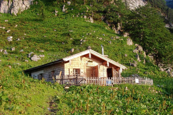 Hotel Traunstein in Abtenau unsere Wandalm